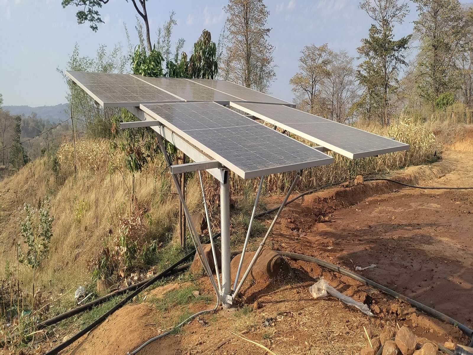 IMG_20240418_171218 (1)